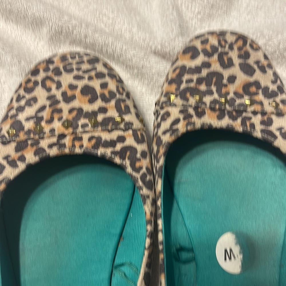 Report leopard flats - Picture 4 of 4